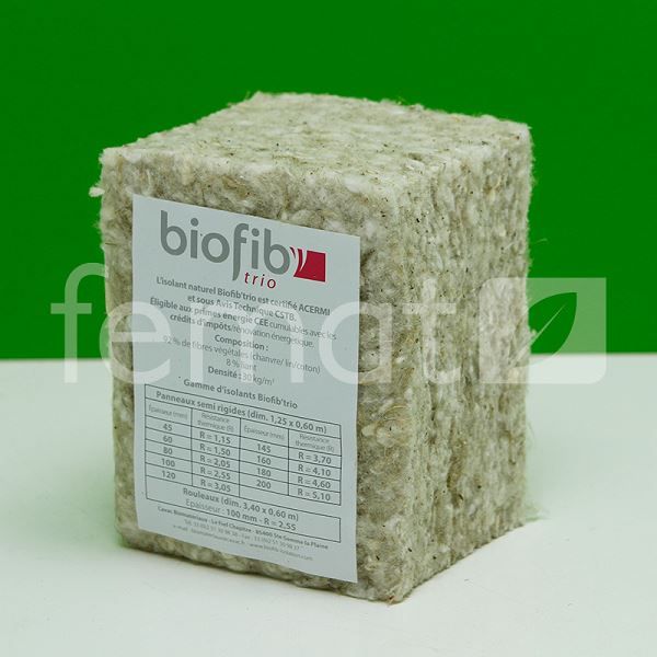 BioFib_Trio